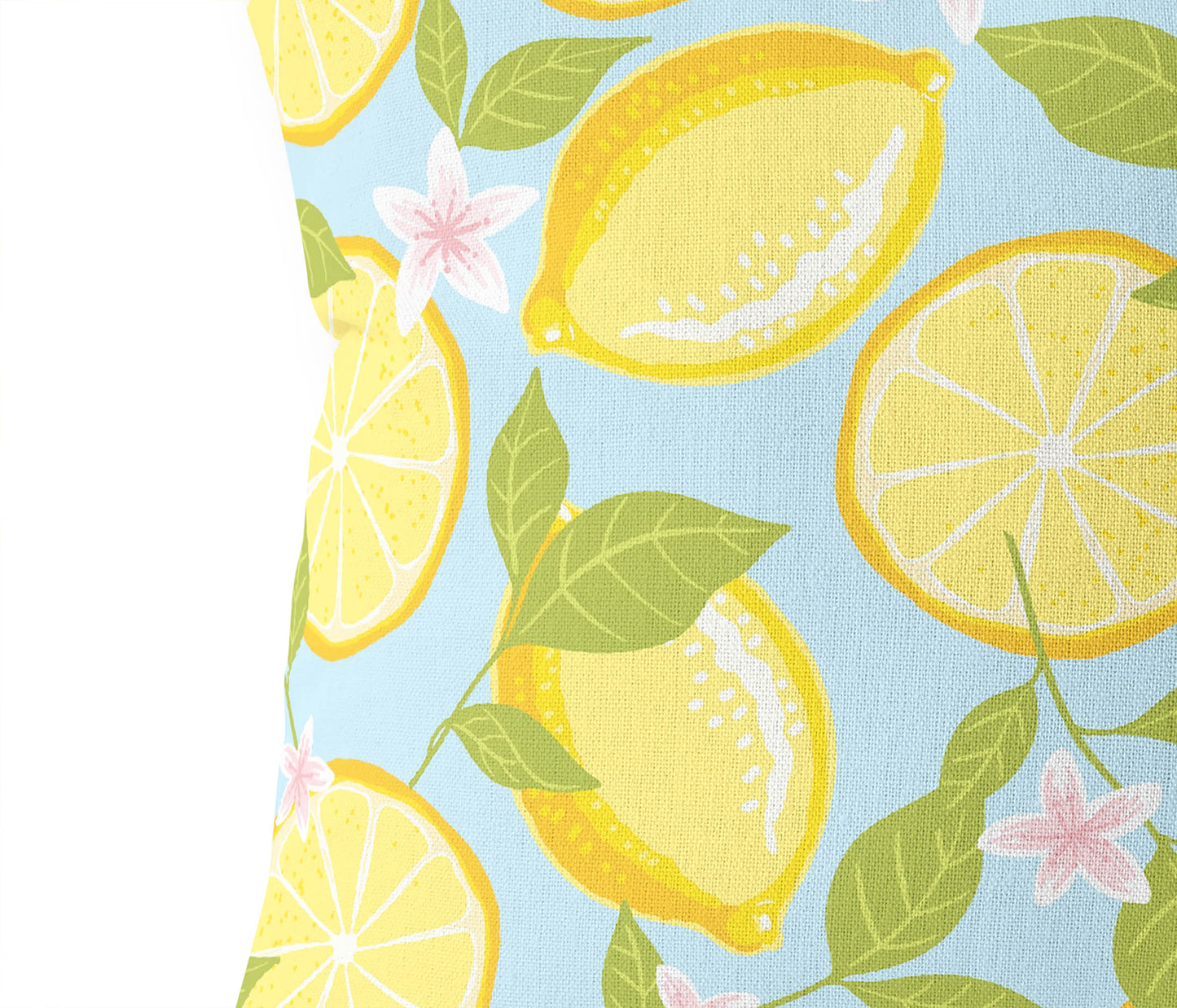 Lemons Outdoor Pillow