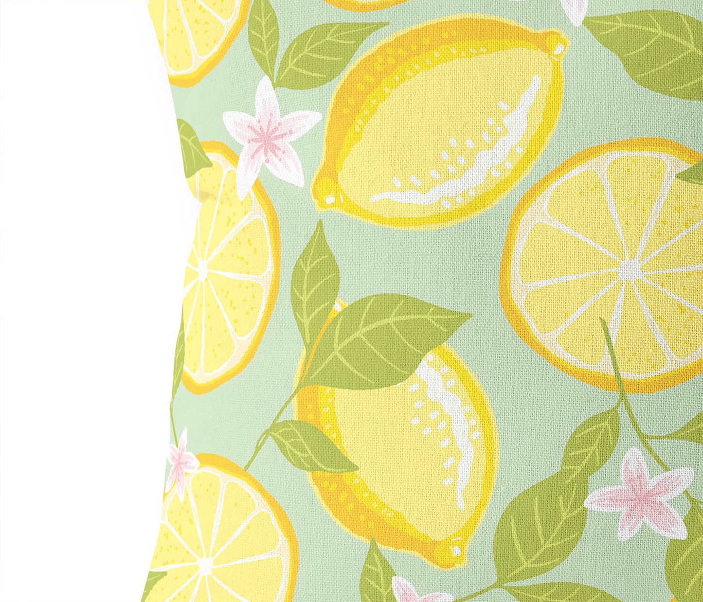 Lemons Outdoor Pillow
